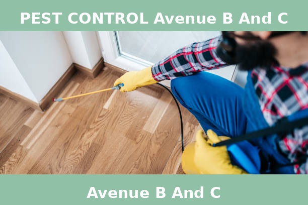 PEST CONTROL Avenue B And C